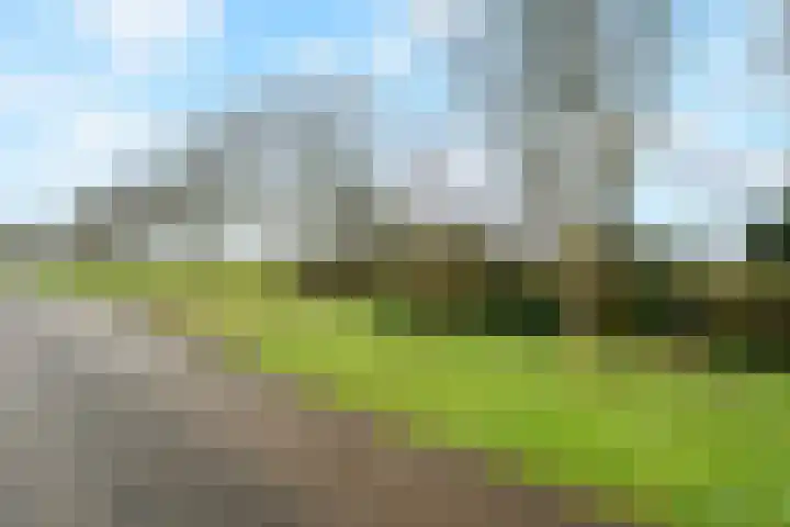 Kneeskade 5 Anna Paulowna thumbnail 8