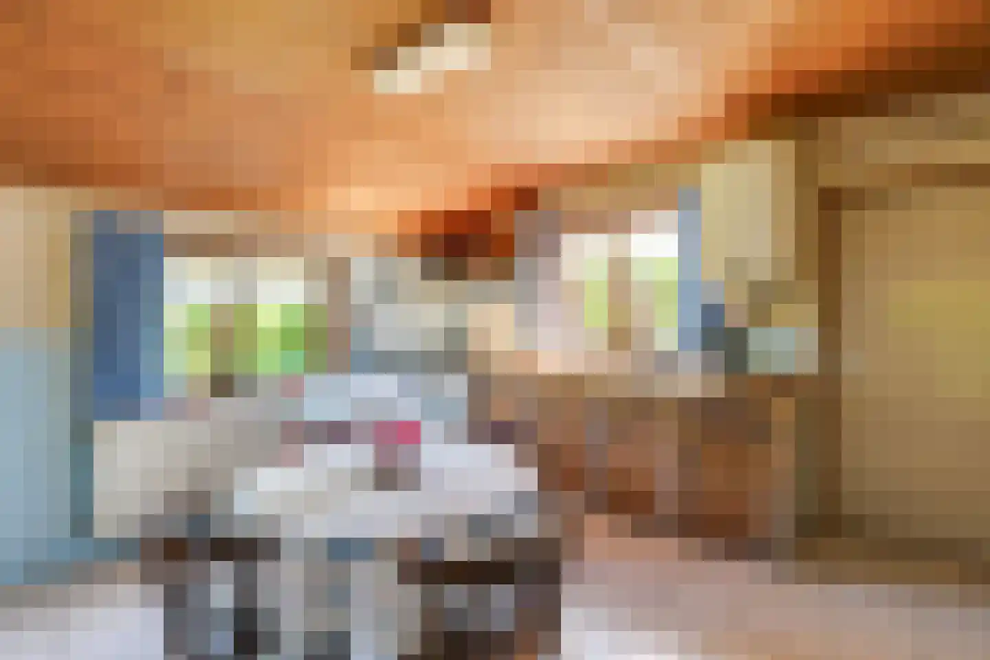 Knegselseweg 120 Veldhoven thumbnail 17