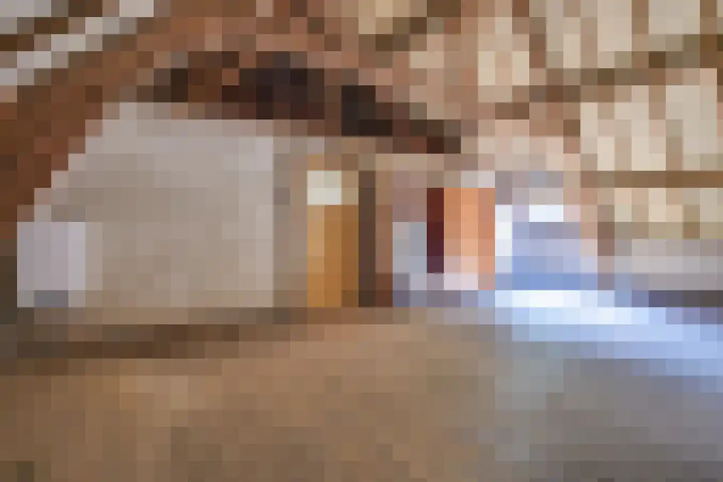 Knegselseweg 120 Veldhoven thumbnail 24