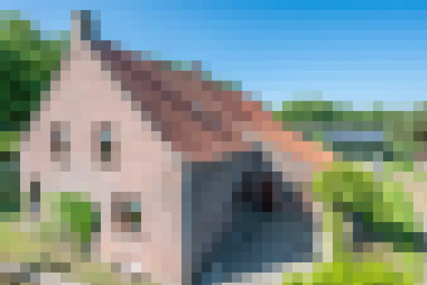 Knegselseweg 120 Veldhoven thumbnail 30