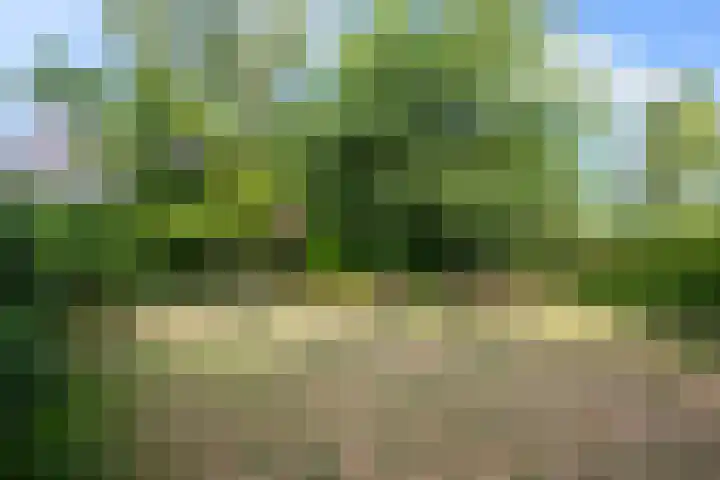 Knegselseweg 5 Steensel thumbnail 30