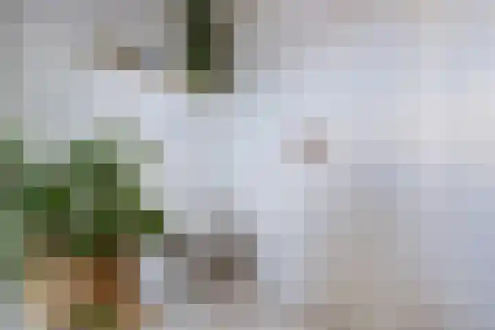 Knegselstraat 22 Tilburg thumbnail 22