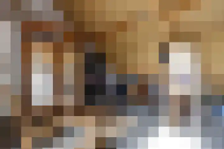 Knegselstraat 22 Tilburg thumbnail 24