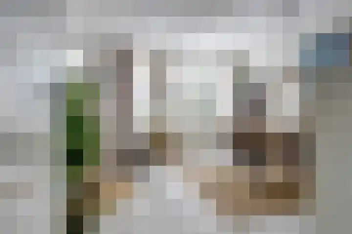 Knegselstraat 22 Tilburg thumbnail 5