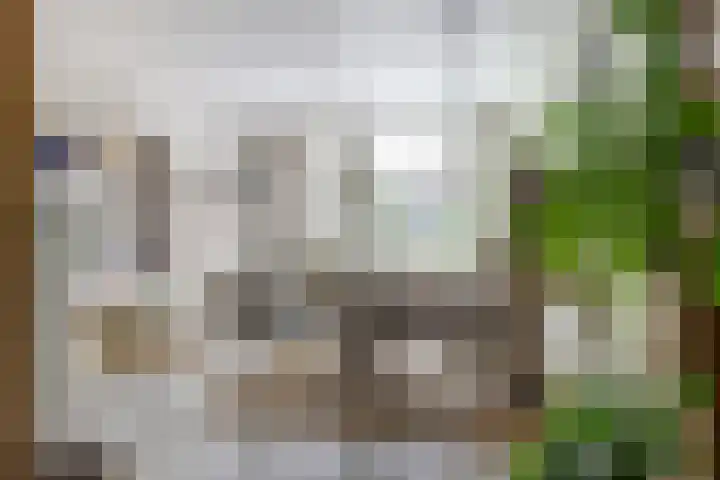 Knegselstraat 22 Tilburg thumbnail 6