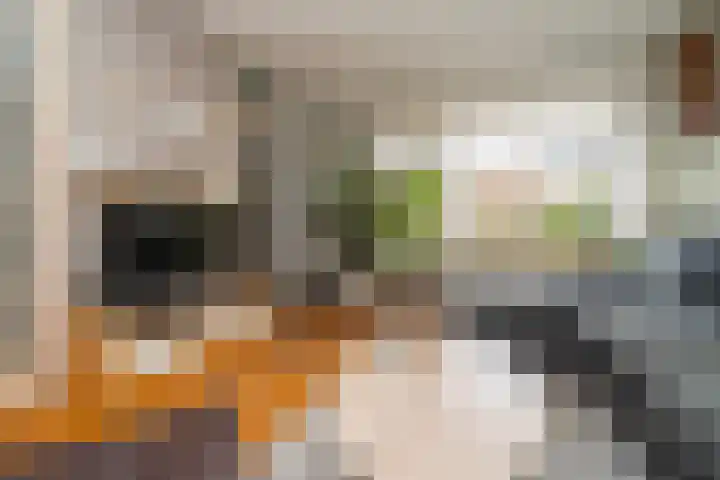 Knegselstraat 3 Tilburg thumbnail 10
