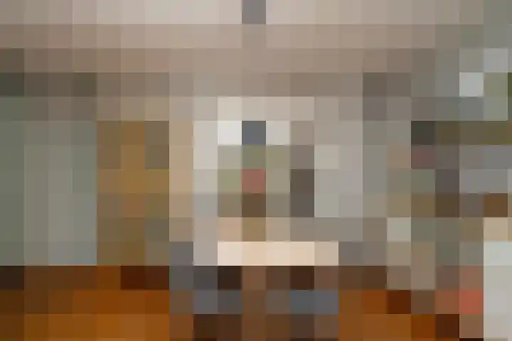 Knegselstraat 3 Tilburg thumbnail 15