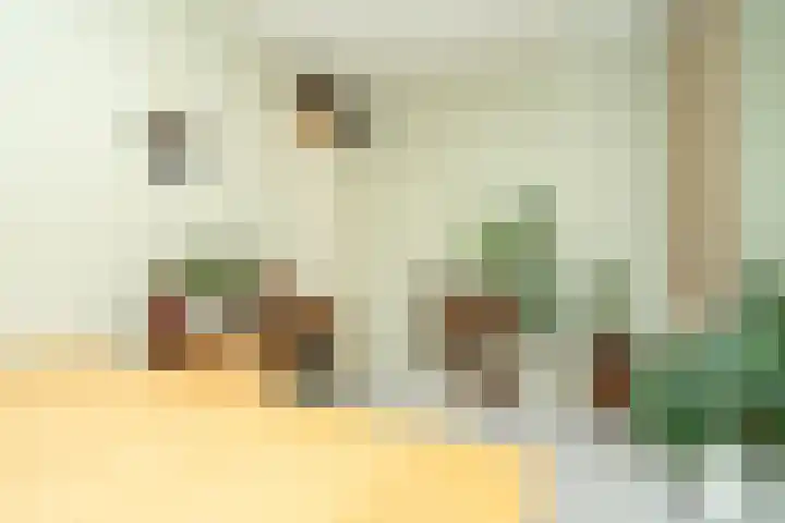 Knegselstraat 3 Tilburg thumbnail 31
