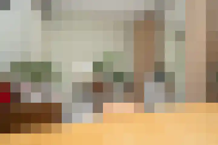 Knegselstraat 3 Tilburg thumbnail 32