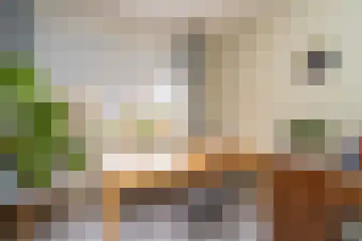 Knegselstraat 3 Tilburg thumbnail 33