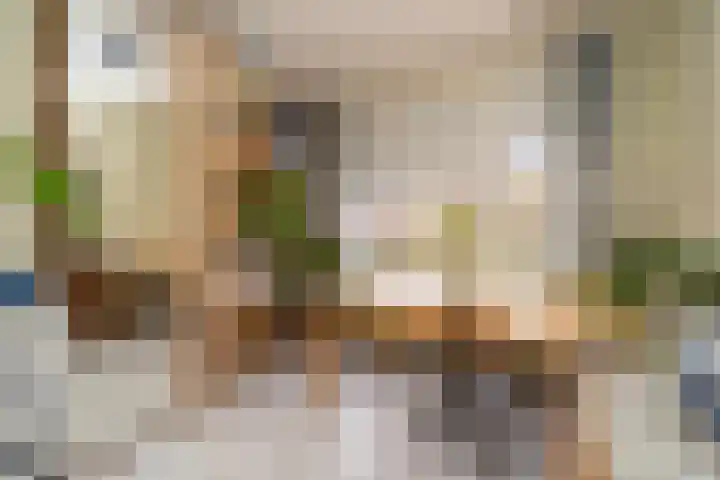 Knegselstraat 3 Tilburg thumbnail 34