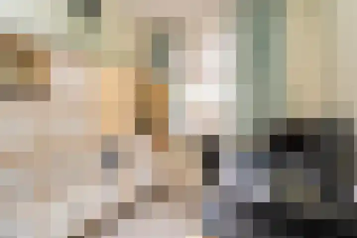 Knegselstraat 3 Tilburg thumbnail 35