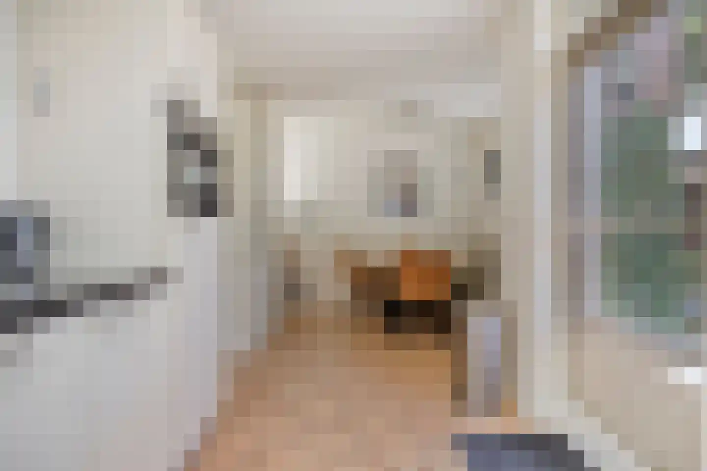 Knegselstraat 35 Tilburg thumbnail 13
