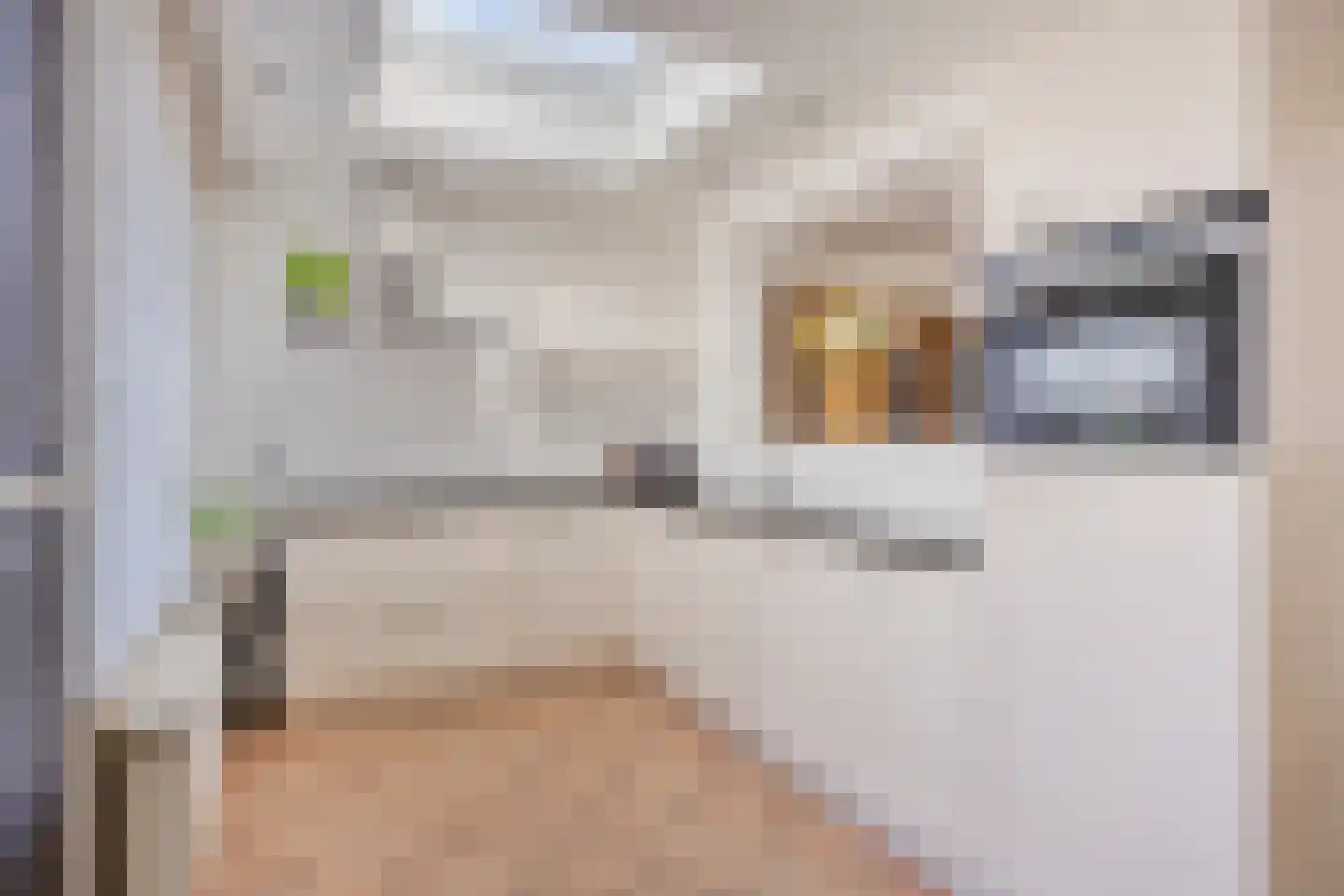 Knegselstraat 35 Tilburg thumbnail 15