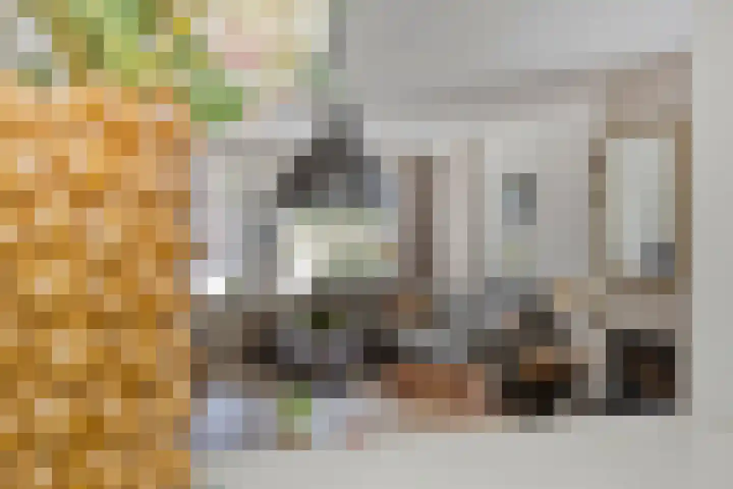 Knegselstraat 35 Tilburg thumbnail 17