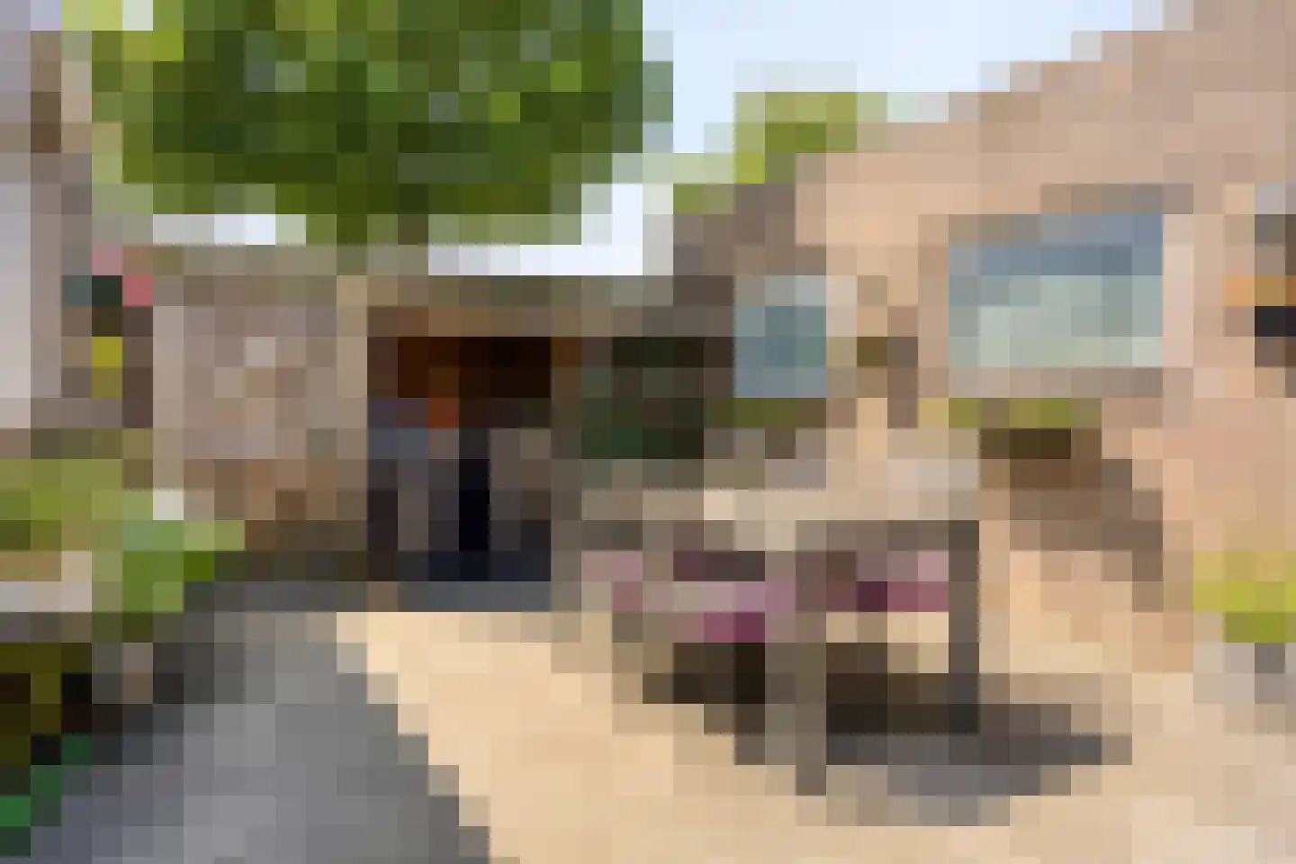 Knegselstraat 35 Tilburg thumbnail 31