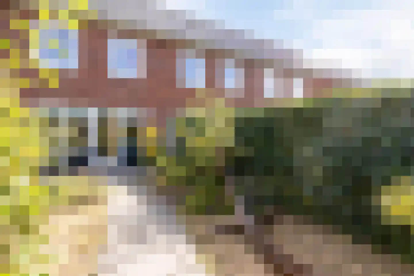 Knelisroos 21 Gemert thumbnail 28