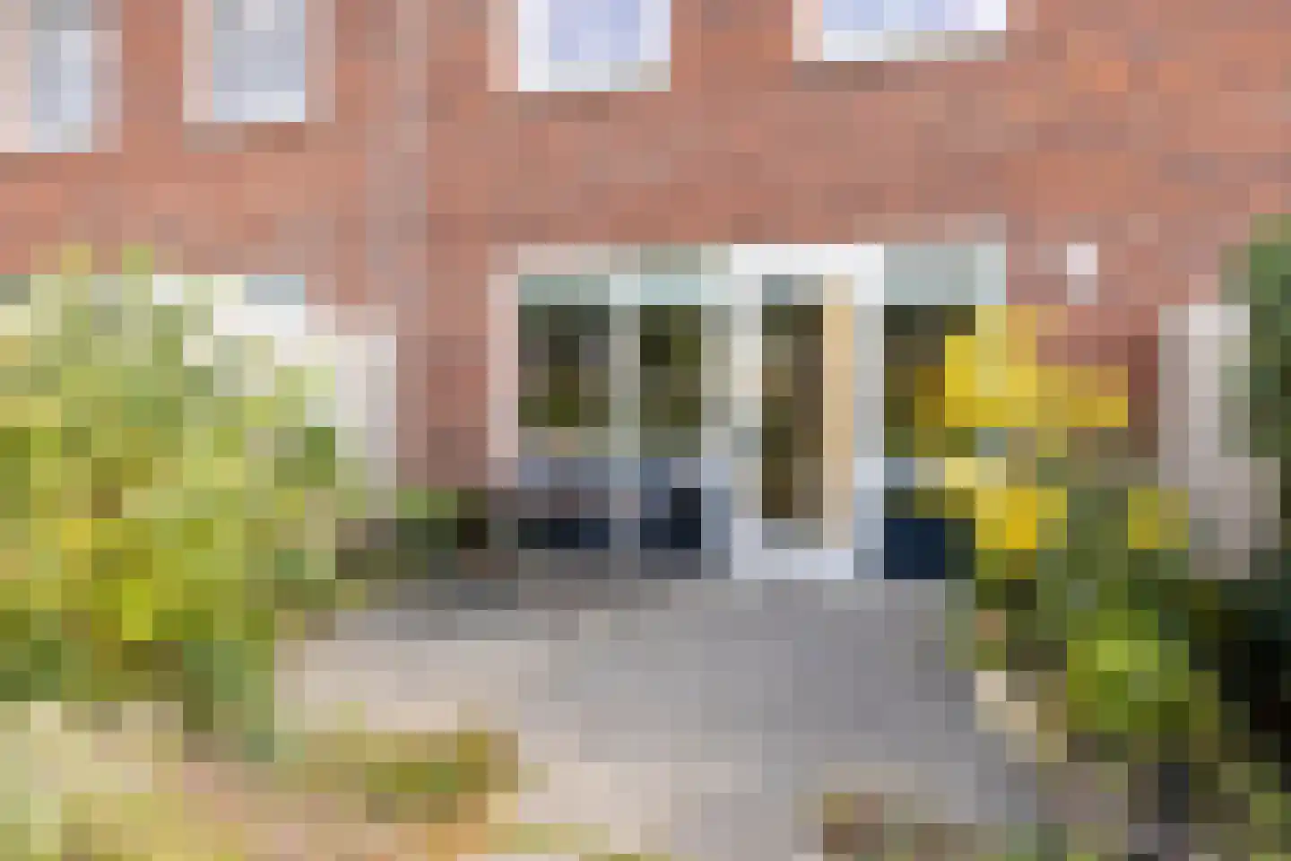 Knelisroos 21 Gemert thumbnail 29