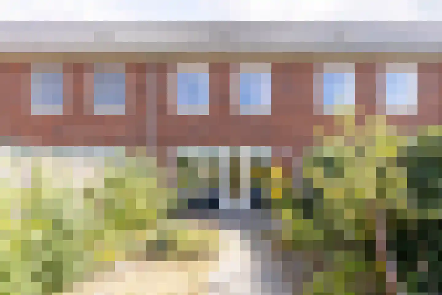 Knelisroos 21 Gemert thumbnail 30