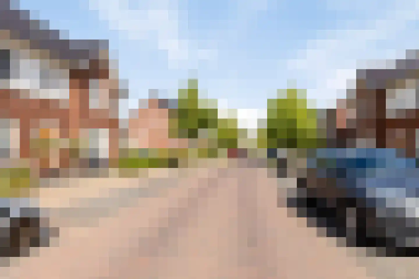 Knelisroos 21 Gemert thumbnail 7
