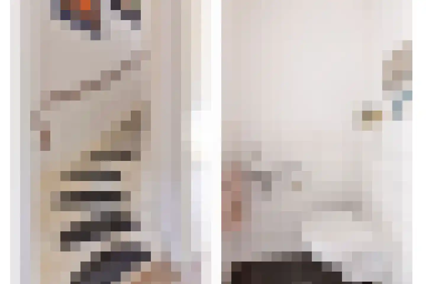 Knelisroos 21 Gemert thumbnail 9