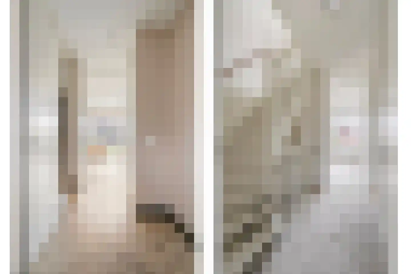 Knelisroos 29 Gemert thumbnail 12