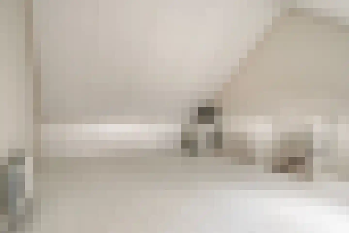 Knelisroos 29 Gemert thumbnail 23