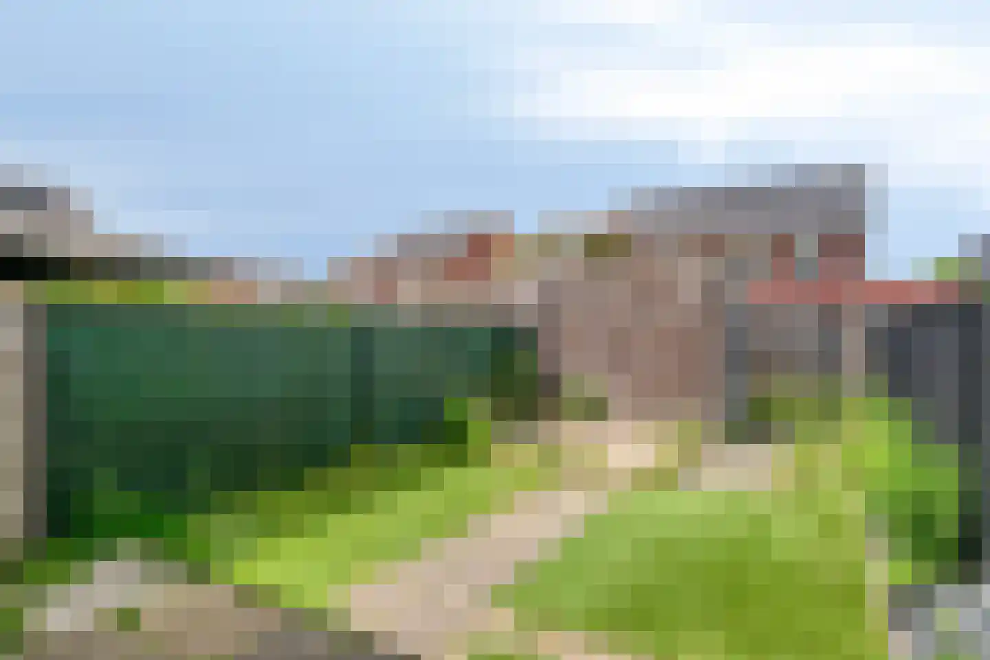 Knelisroos 29 Gemert thumbnail 24