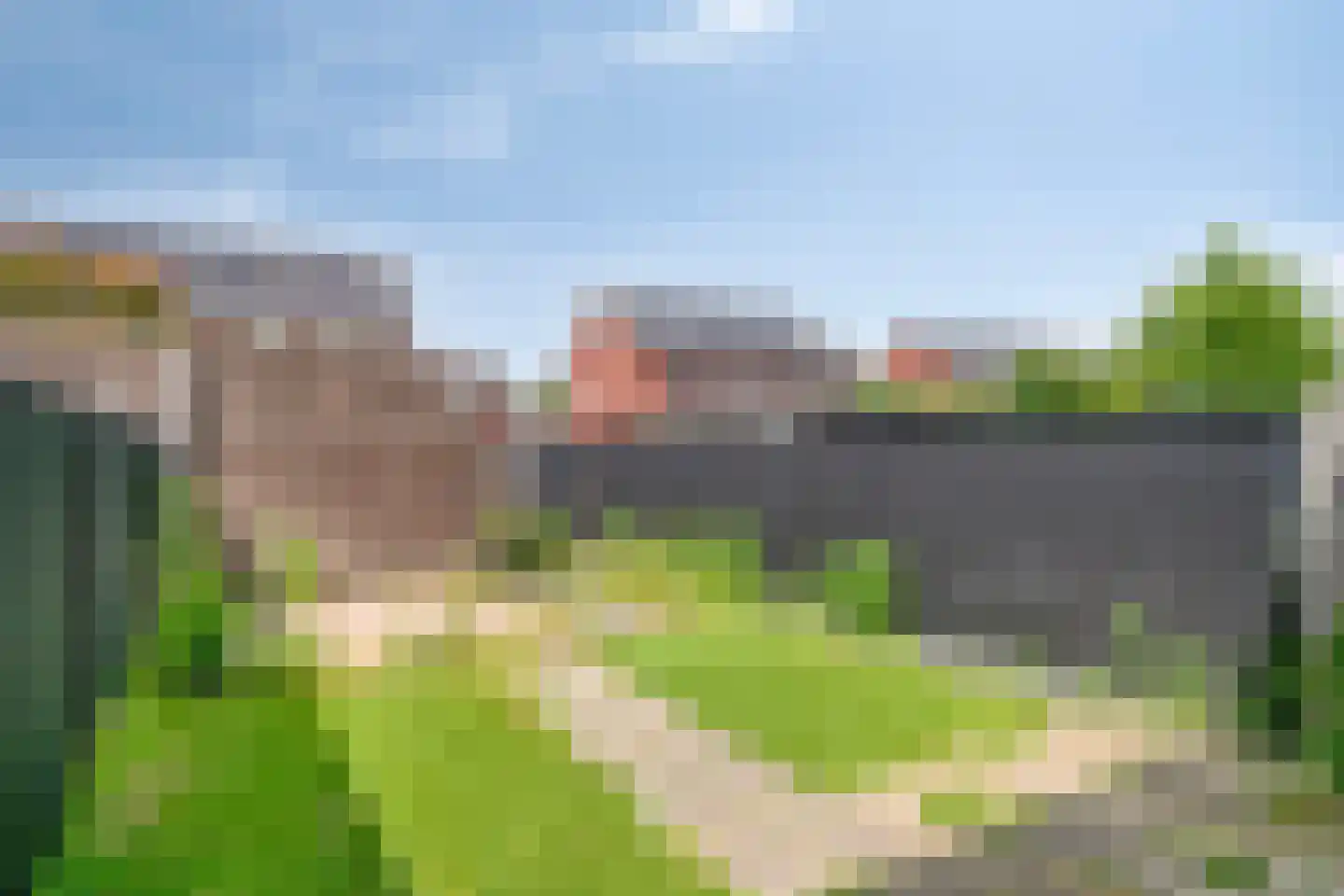 Knelisroos 29 Gemert thumbnail 25