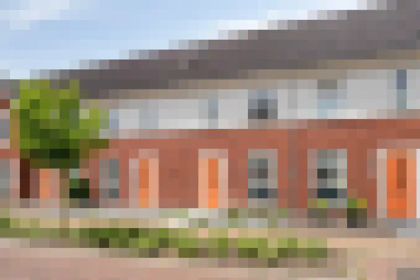 Knelisroos 29 Gemert thumbnail 29