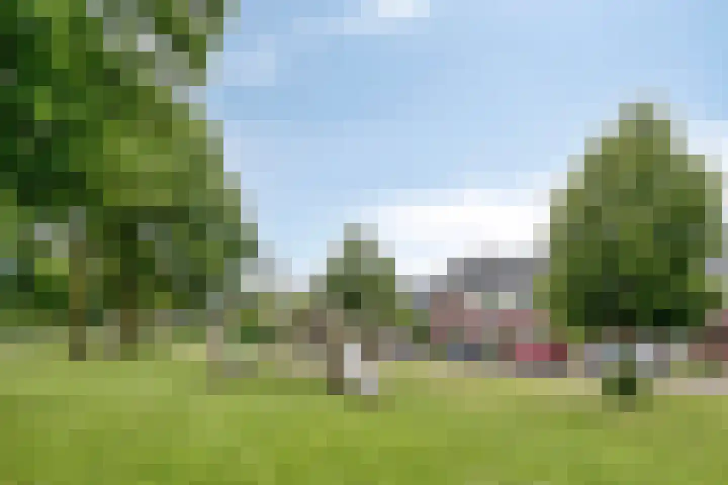 Knelisroos 29 Gemert thumbnail 30