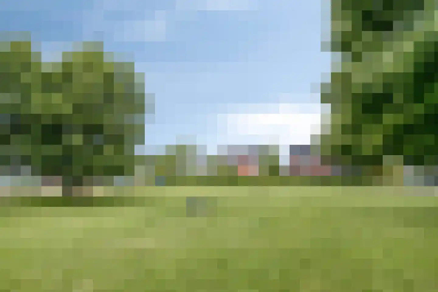 Knelisroos 29 Gemert thumbnail 31