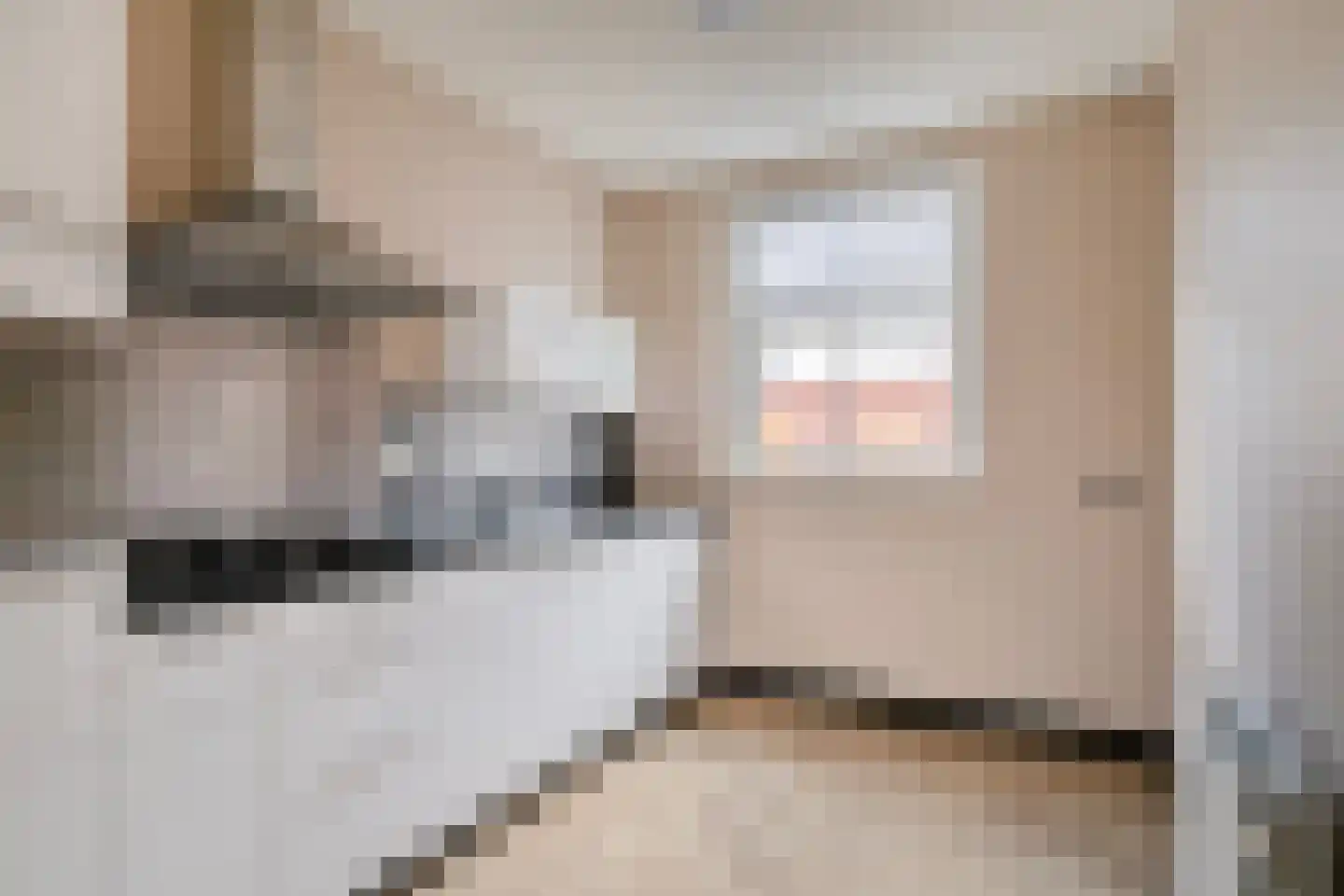 Knelisroos 29 Gemert thumbnail 4
