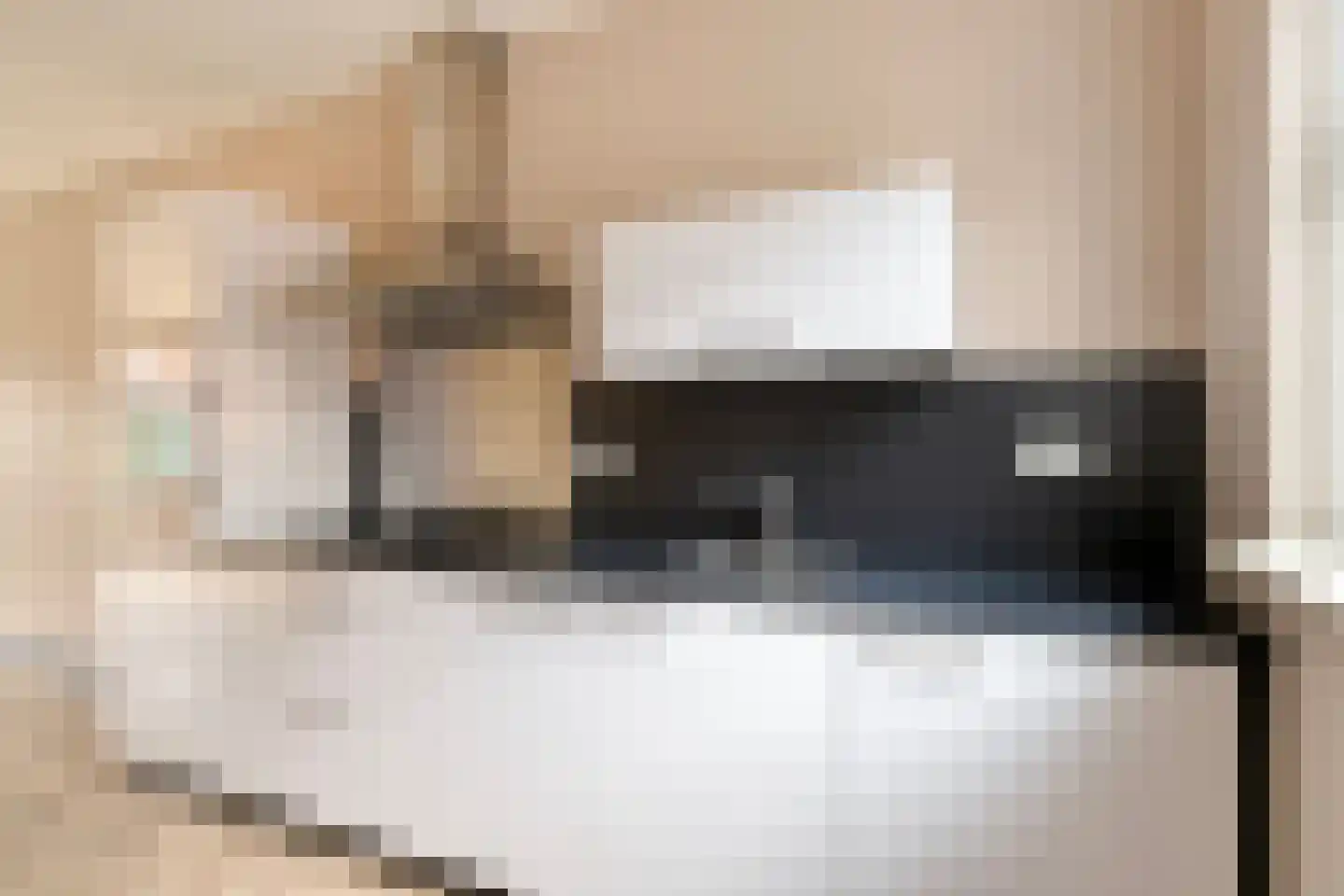 Knelisroos 29 Gemert thumbnail 9