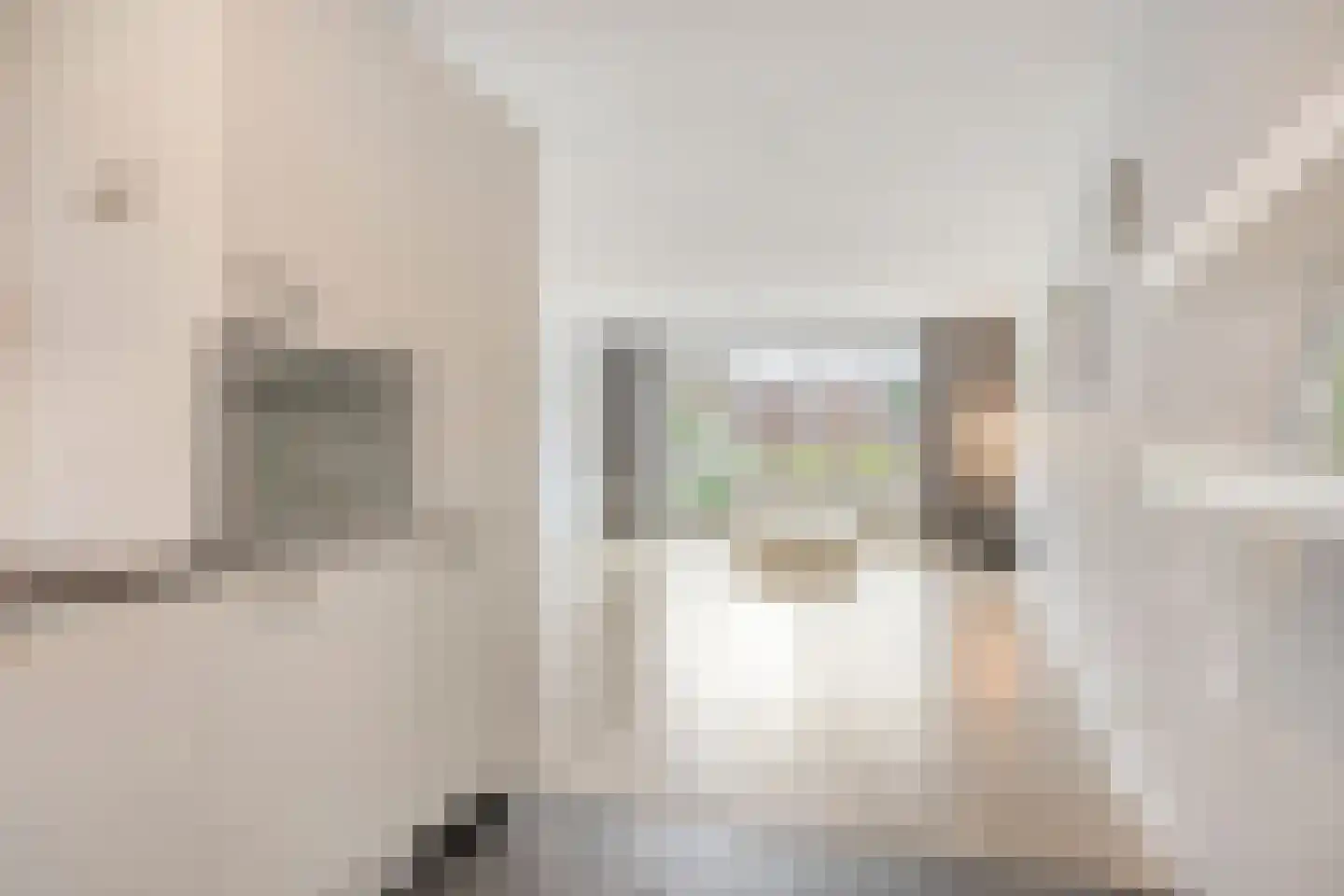 Knelisroos 5 Gemert thumbnail 11