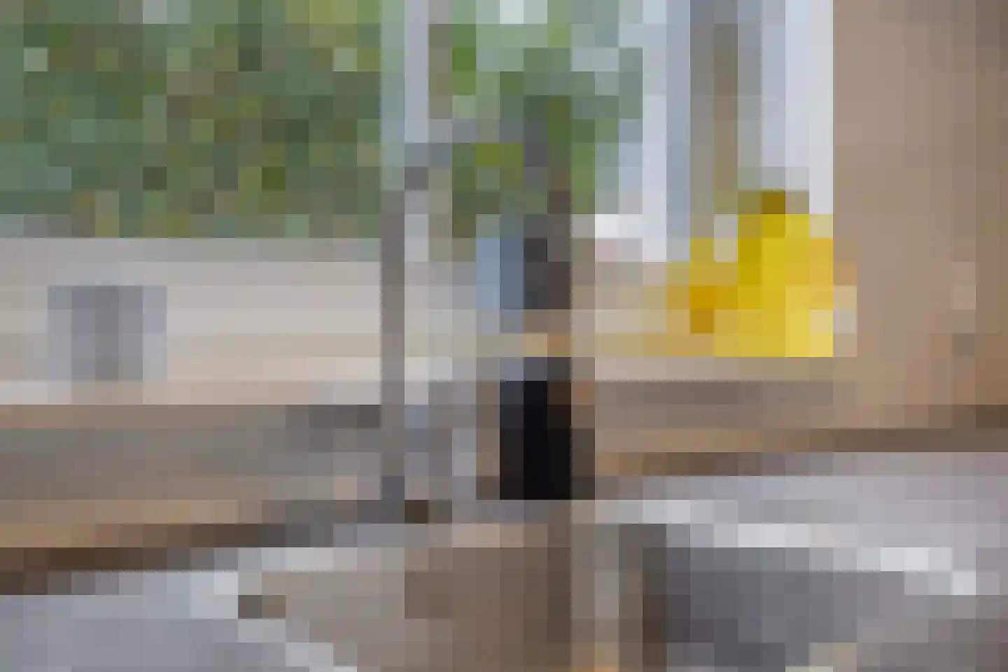 Knelisroos 5 Gemert thumbnail 12