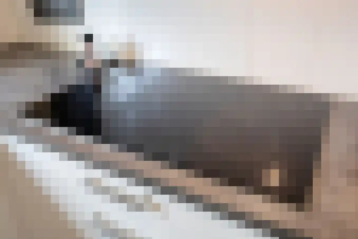 Knelisroos 5 Gemert thumbnail 13