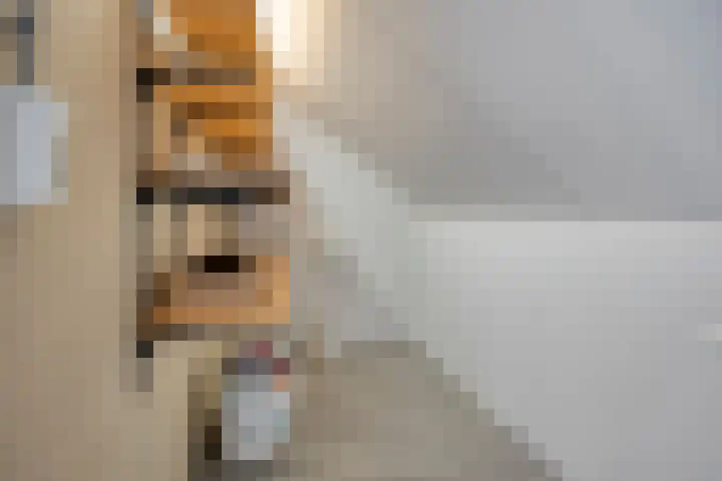 Knelisroos 5 Gemert thumbnail 26