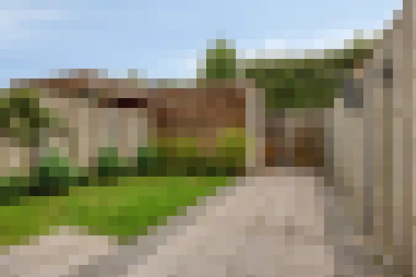 Knelisroos 5 Gemert thumbnail 27