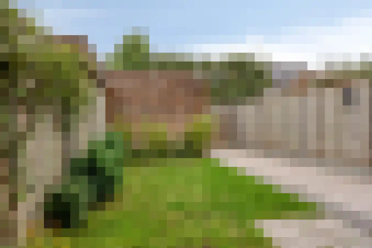 Knelisroos 5 Gemert thumbnail 28