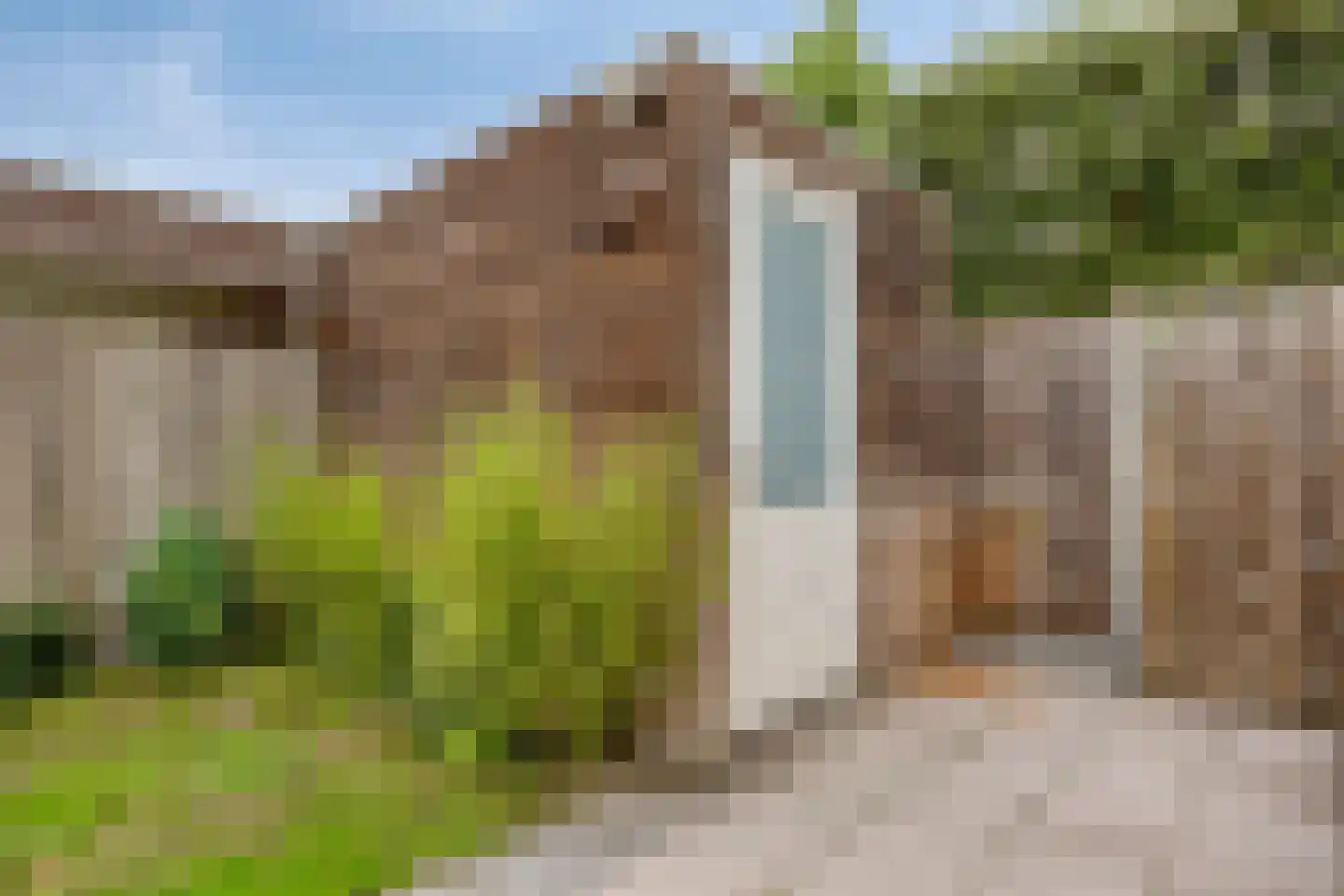 Knelisroos 5 Gemert thumbnail 29