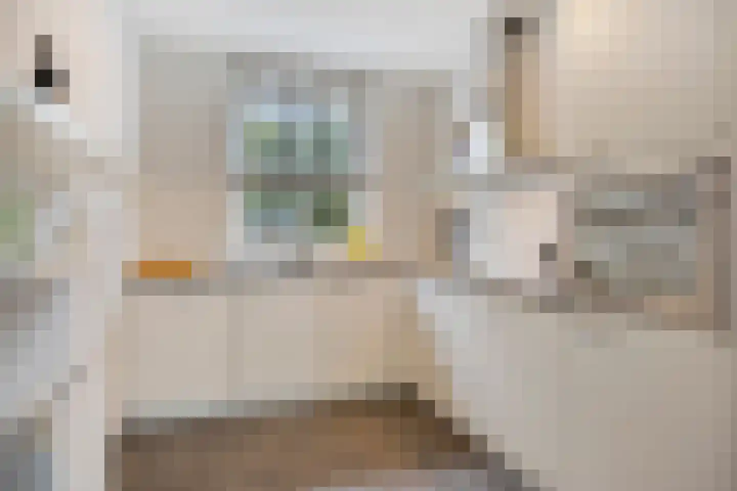 Knelisroos 5 Gemert foto 3