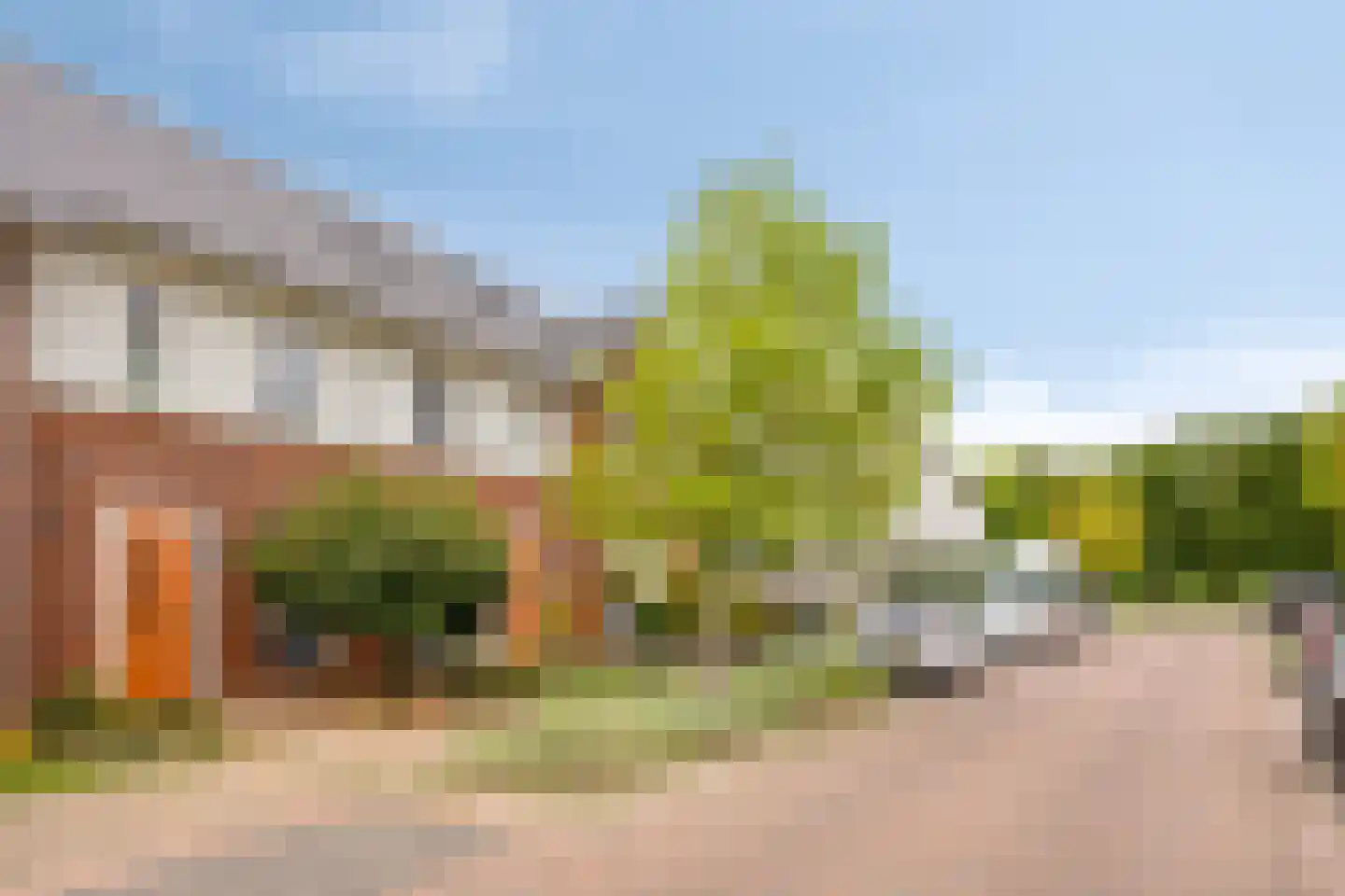 Knelisroos 5 Gemert thumbnail 31