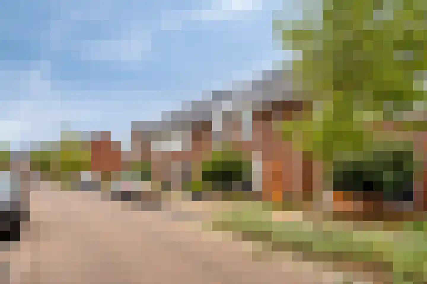 Knelisroos 5 Gemert thumbnail 34