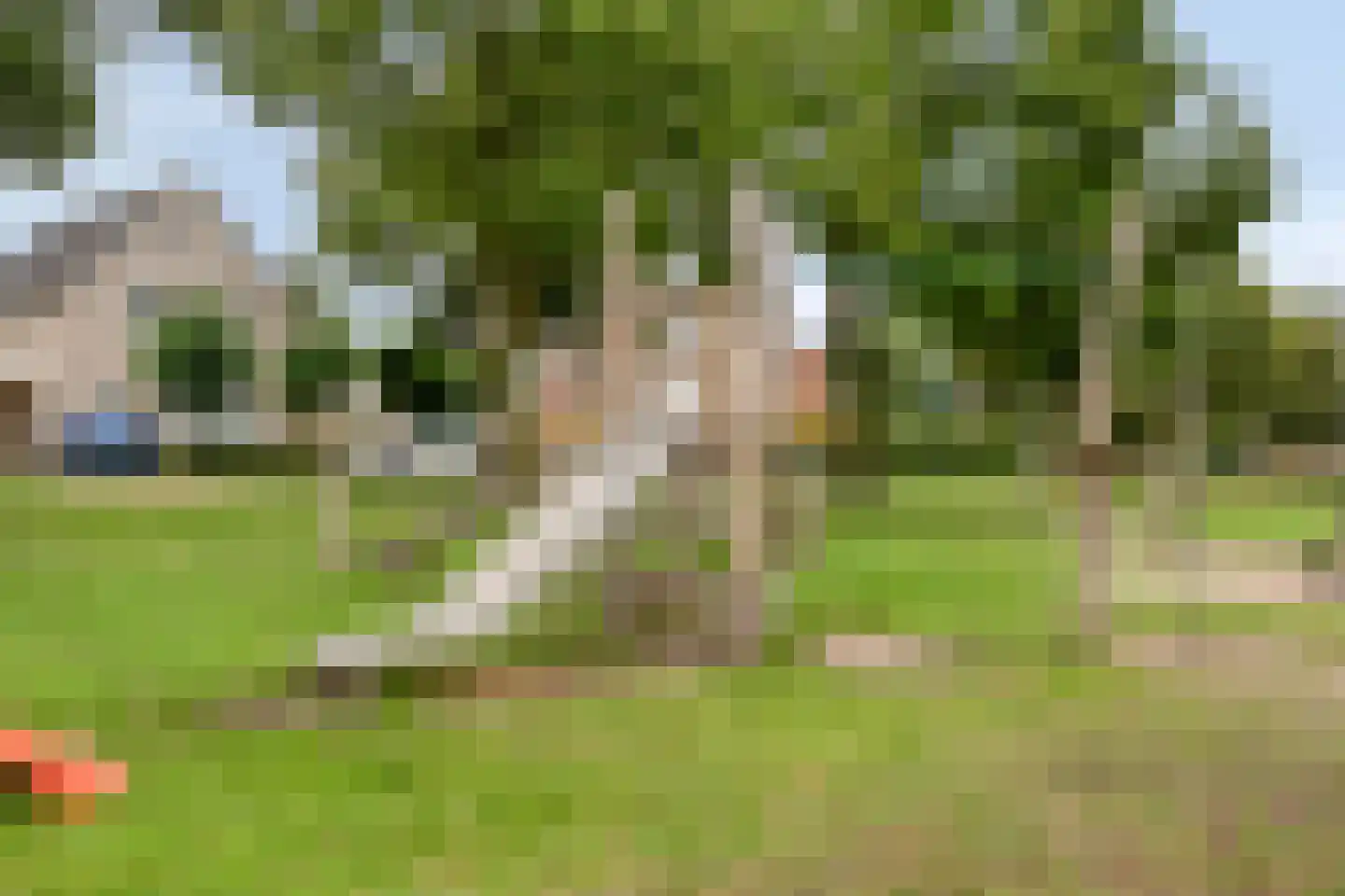 Knelisroos 5 Gemert thumbnail 35