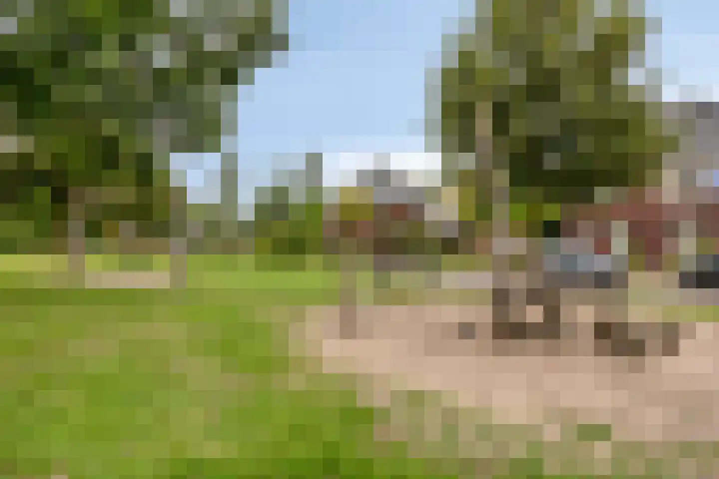 Knelisroos 5 Gemert thumbnail 36