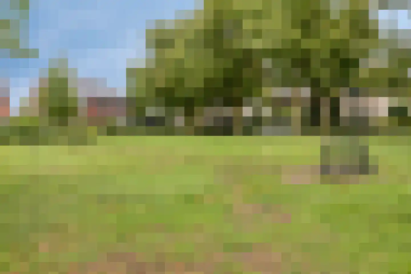 Knelisroos 5 Gemert thumbnail 37