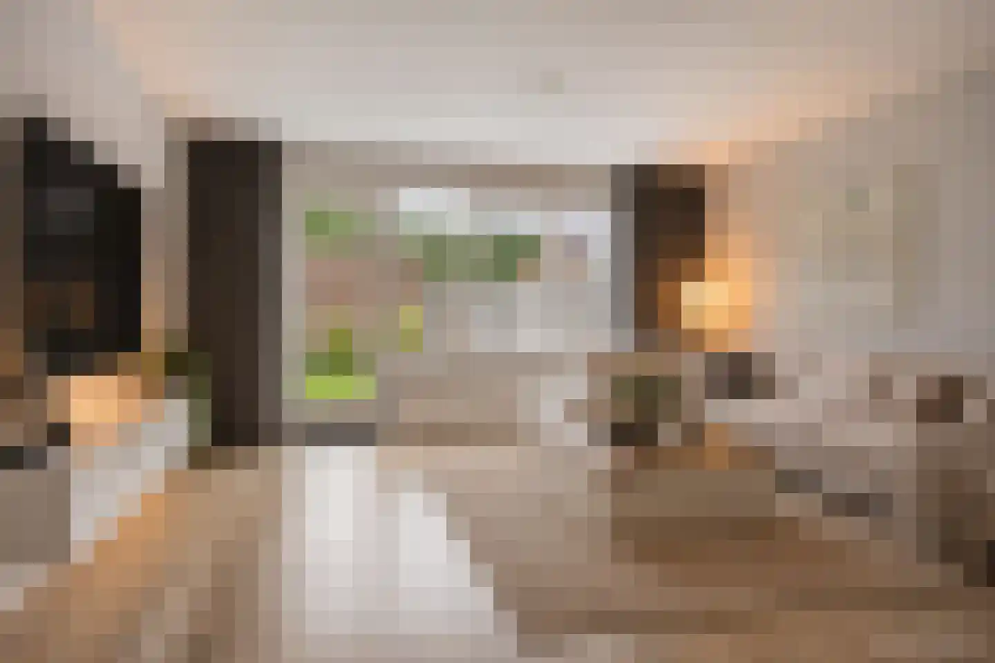 Knelisroos 5 Gemert thumbnail 8