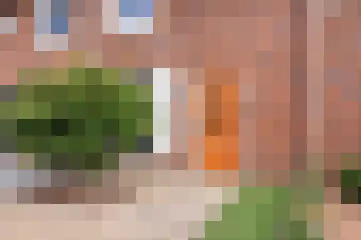 Knelisroos 7 Gemert thumbnail 10