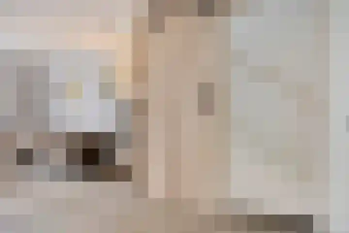 Knelisroos 7 Gemert thumbnail 12